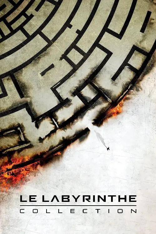Couverture de l'album Le Labyrinthe - Saga