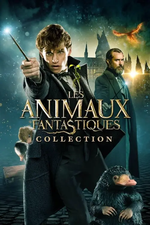 Couverture de l'album Les animaux fantastiques - Saga Couverture de l'album Les animaux fantastiques - Saga