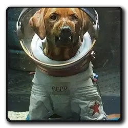 Toutes les infos sur Cosmo Le Chien De L'espace Cosmo Le Chien De L'espace(les-gardiens-de-la-galaxie-saga)