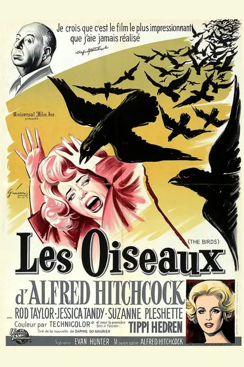 Consulter les informations sur le film Les Oiseaux