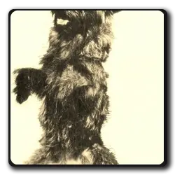 Toto(oz-saga)