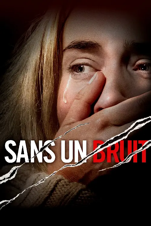 Couverture de l'album Sans un bruit