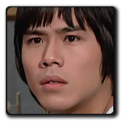 Le Capitaine De Wenwu(shang-chi-saga)