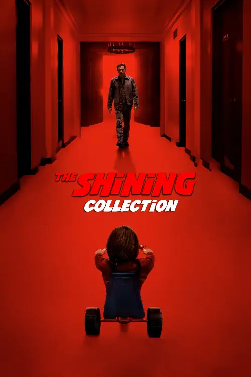Couverture de l'album Shining - Saga