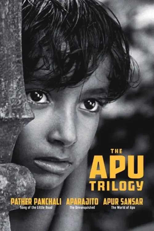 Couverture de l'album The Apu - Saga