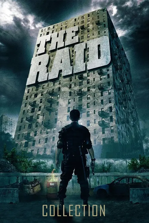 Couverture de l'album The Raid - Saga