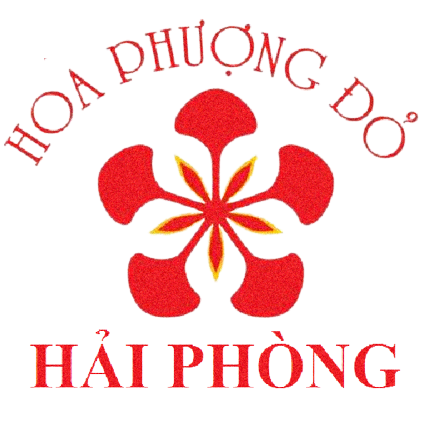 Flag Haiphong
