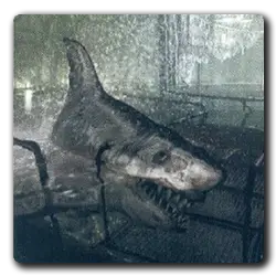 Toutes les infos sur Neptune Neptune(resident-evil-game)