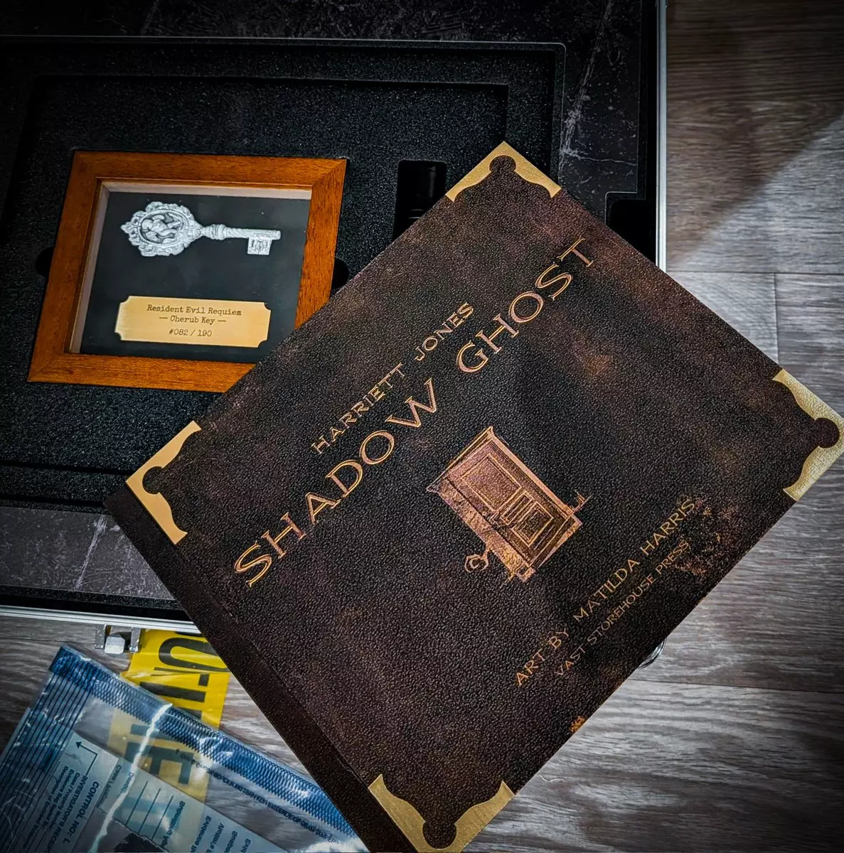 Consulter les informations sur le livre Shadow Ghost