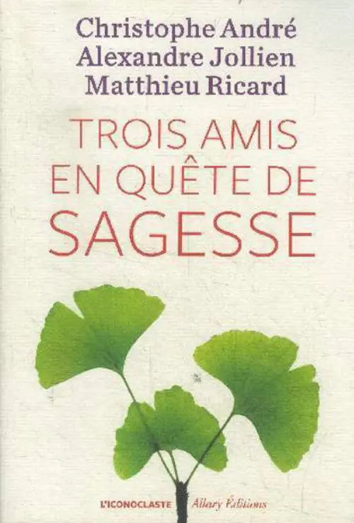 Consulter les informations sur la BD Trois amis en quête de sagesse.