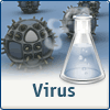 Niouzes de l’Infobrol (virus)