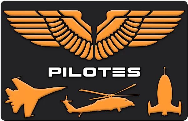 Logo de l'organisation Pilotes Logo de l'organisation