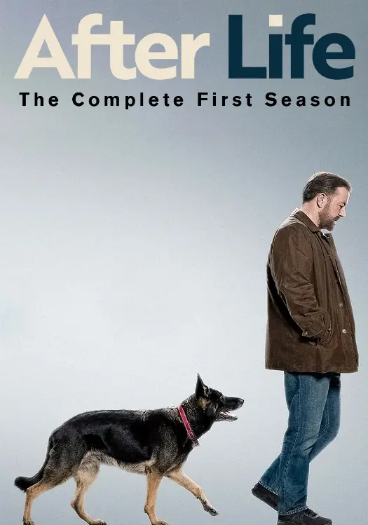 Consulter les informations sur la saison Saison 1
