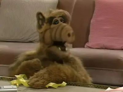 Couverture de l'album La nuit tous les alf sont gris Couverture de l'album La nuit tous les alf sont gris