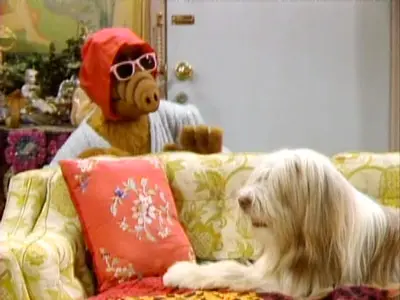 Consulter les informations sur l'épisode Une vie de chien