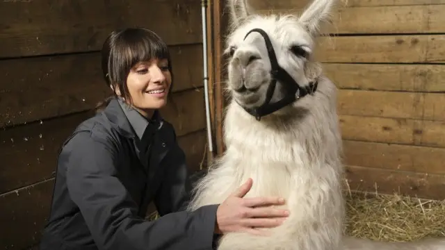 Consulter les informations sur l'&eacute;pisode Skunks and Llamas