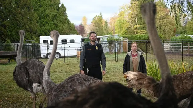 Consulter les informations sur l'&eacute;pisode Weasels and Ostriches