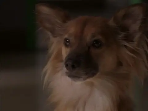 Consulter les informations sur l'&eacute;pisode Shelter