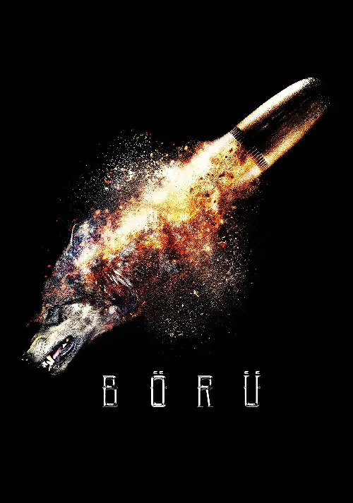 Couverture de l'album Boru