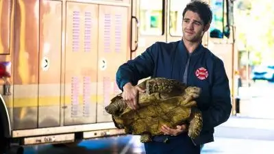 Consulter les informations sur l'épisode Quand les tortues auront des ailes