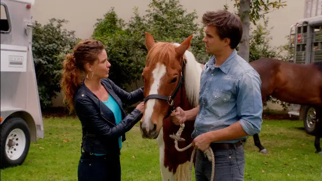 Consulter les informations sur l'épisode Divorce express