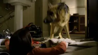 Consulter les informations sur l'épisode Nous sommes tous des pêcheurs