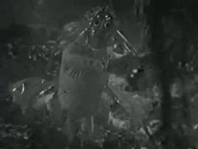 Consulter les informations sur l'épisode La menace sous-marine - Partie 2