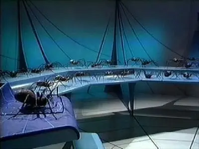Consulter les informations sur l'épisode La planète des araignées - Partie 3
