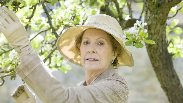 Consulter les informations sur l'épisode Révolution à Downton