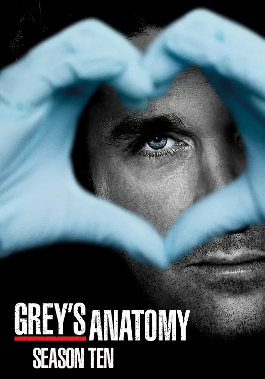 Couverture de l'album Saison 10 Couverture de l'album Saison 10