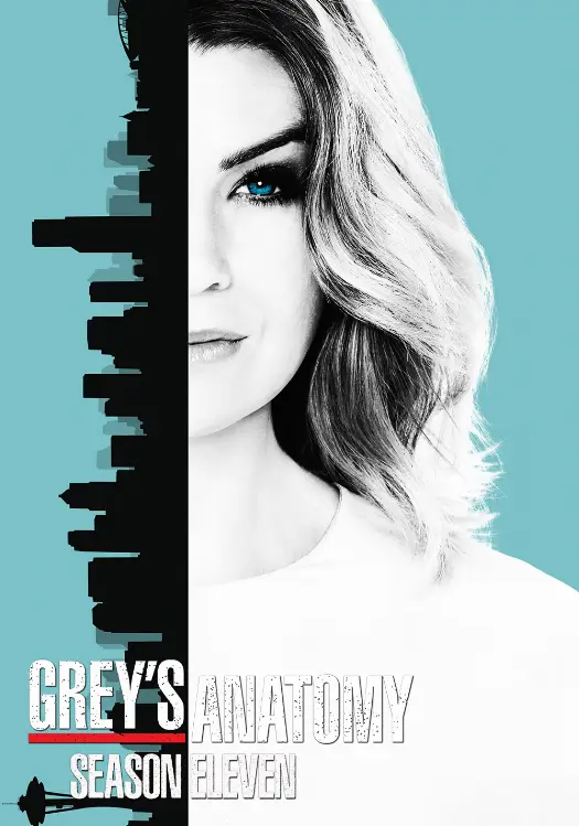 Couverture de l'album Saison 11