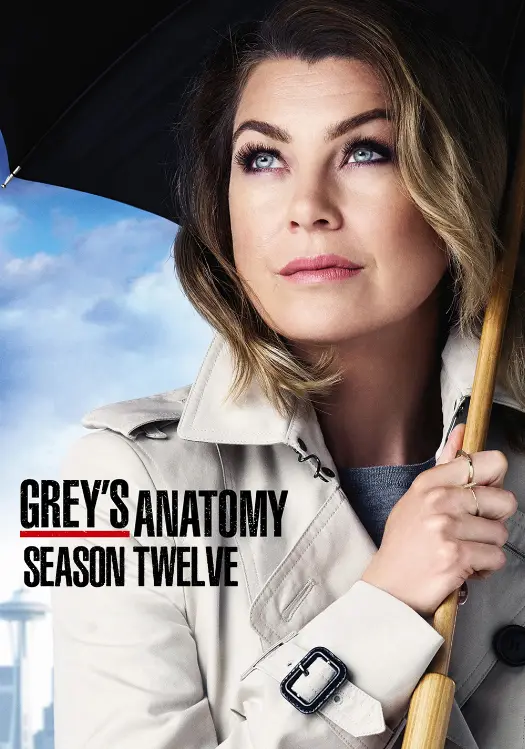 Couverture de l'album Saison 12 Couverture de l'album Saison 12