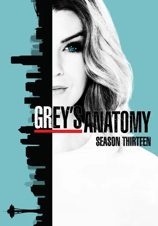 Couverture de l'album Saison 13 Couverture de l'album Saison 13