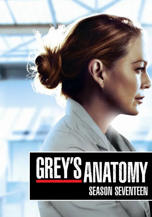 Couverture de l'album Saison 17