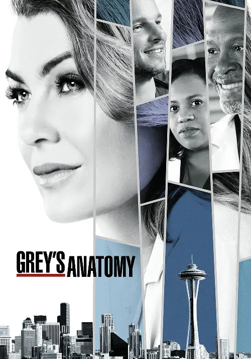Couverture de l'album Grey's Anatomy