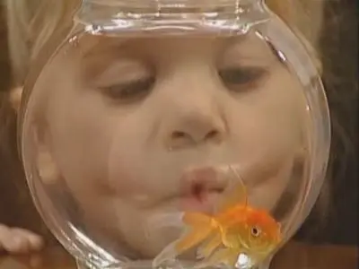 Couverture de l'album Un poisson nommé Martin