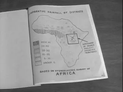 Consulter les informations sur l'épisode La jungle
