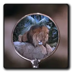 Lion(les-mysteres-de-l-ouest_1965)