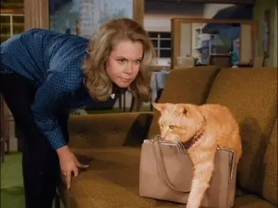 Consulter les informations sur l'épisode Le chat et la souris