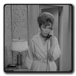Toutes les infos sur Plaisir O'Riley Plaisir O'Riley(ma-sorciere-bien-aimee_1964)