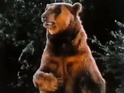 Consulter les informations sur l'épisode La légende de l'ours de bronze