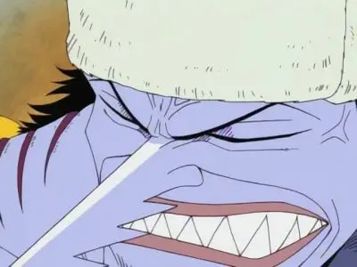 Consulter les informations sur l'épisode L'équipage se retrouve ! La vérité sur Nami selon Usopp