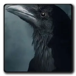 Matthieu Le Corbeau (voix)(sandman_2022)