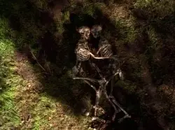 Consulter les informations sur l'épisode Spores
