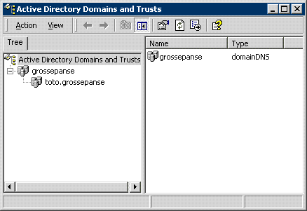 Ecran Active Directory Domains and Trusts