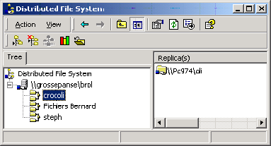 Ecran Distributed File System