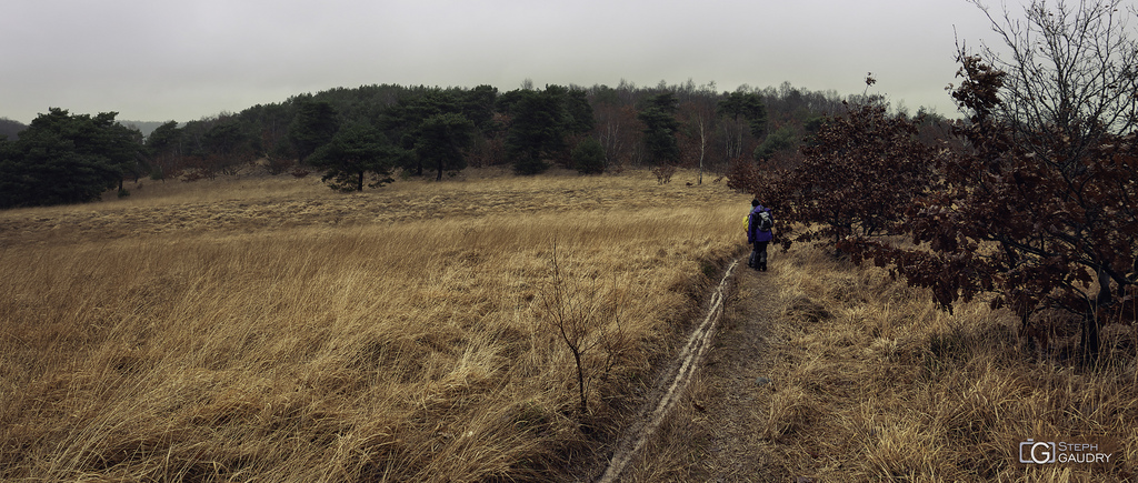 Fagne de Ninane - 2019_01_27_153119 Fagne de Ninane - 2019_01_27_153119