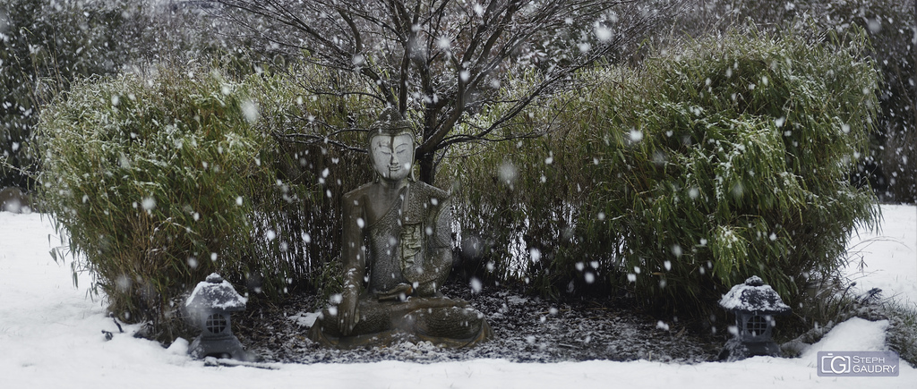 Méditation sous la neige