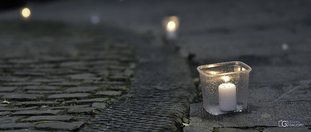 Chaque homme dans sa nuit s'en va vers sa lumière