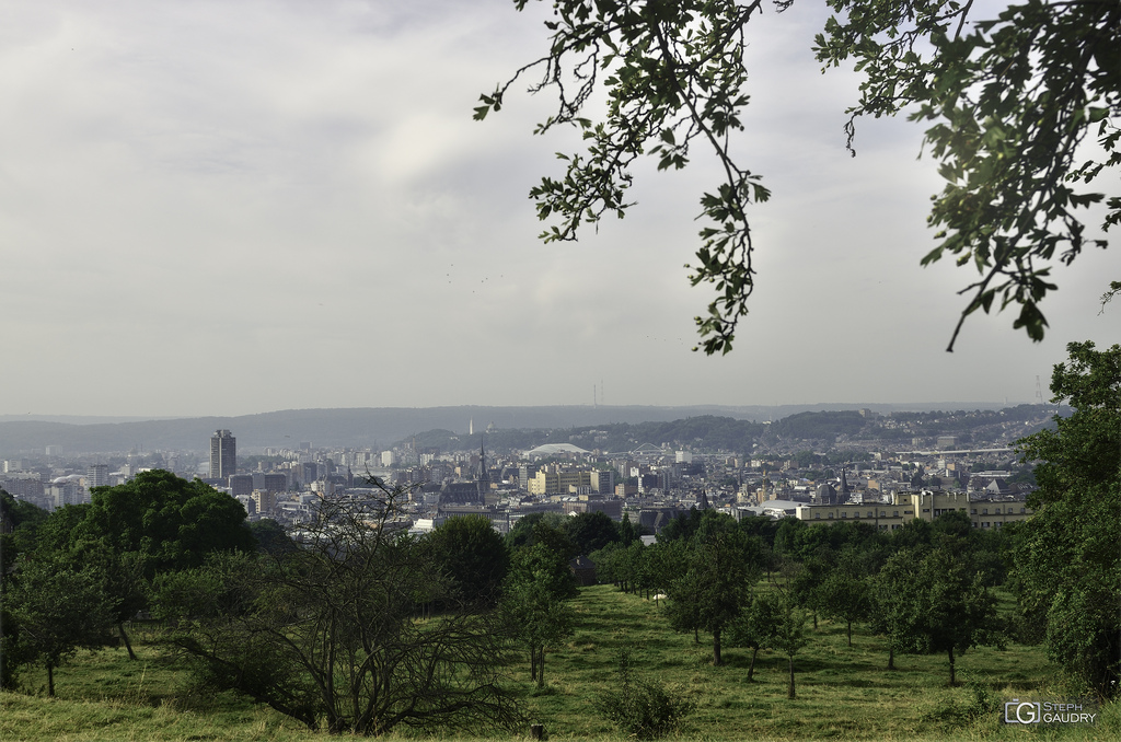 Liège, les vergers